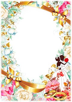 Wedding frame with two rings and newlyweds