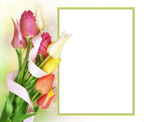 Photo frame - First delicate Spring tulips