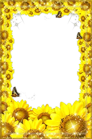 Photo frame - Freshness of sunflowers