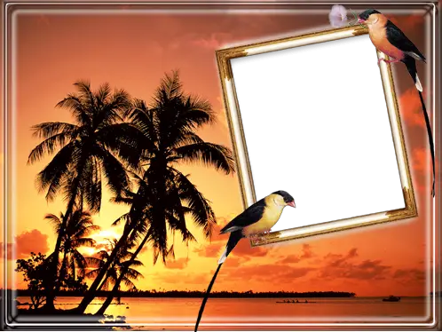 Photo frame - Tropical birds