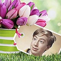 Foto efecto - Beautiful tulips for you