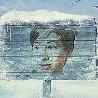 Efektu - Board frozen in ice in winter forest