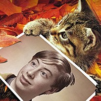 Efektas - Cute Kitten In The Autumn Leaves