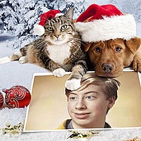 Efeito de foto - Dog and cat wish a Merry Christmas