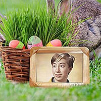 Efeito de foto - Easter basket with colored eggs