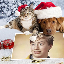 Efeito de foto - Cão e gato desejar um Feliz Natal