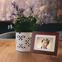 Efeito de foto - Moldura e vaso de flores