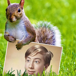 Efeito de foto - Esquilo na grama verde