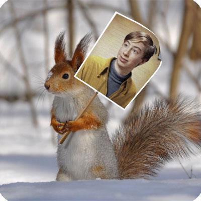 Effet photo - Écureuil dans une forêt enneigée
