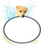 Photo frame - Doggy