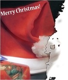 Nuotraukų rėmai - Chrismas Hat