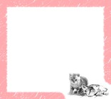 Nuotraukų rėmai - Pink Cats