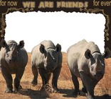 Cornici fotografiche - We Are Friends