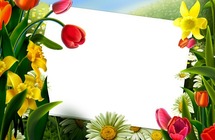 Photo frame - Flowers Frame