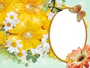 Photo frame - Butterflies In Camomiles