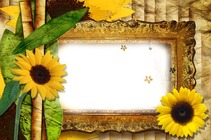 Cornici fotografiche - Sunflowers