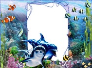 Cornici fotografiche - Underwater World