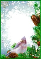 Nuotraukų rėmai - Fantastic Winter Bird