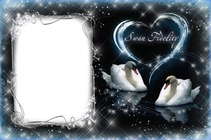 Photo frame - Swan Fidelity