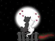 Photo frame - Love Cats