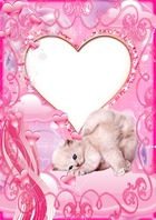 Photo frame - Lovely Kitten
