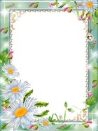 Photo frame - Daisies