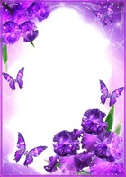 Photo frame - Irises