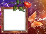 Photo frame - Rose and Butterfly