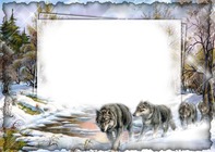 Photo frame - Wolves