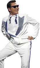 Photo frame - Psy. Gangnam style