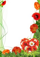 Photo frame - Poppies Color of Love