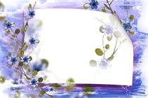 Photo frame - Sky Forget-Me-Not Flowers