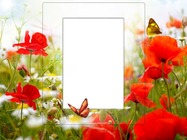 Фоторамка - Frame With Poppies