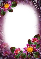 Marco de fotos - Colorful Flowers