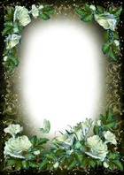 Marco de fotos - Vintage White Roses