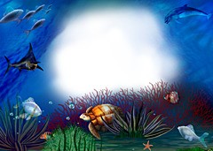 Schoonheid van de onderwaterwereld
