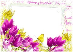 Spring violet tulips and yellow butterfly