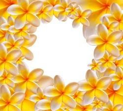Photo frame - Yellow flowers