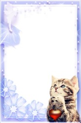 Cornici fotografiche - Cute Romantic Kitten