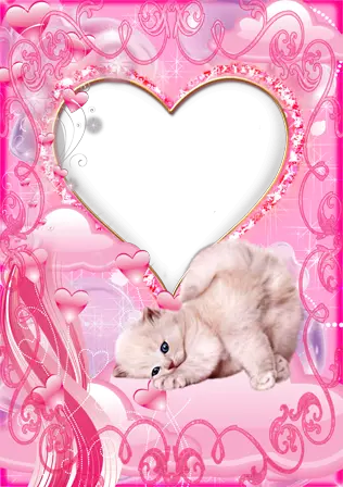 Nuotraukų rėmai - Lovely Kitten
