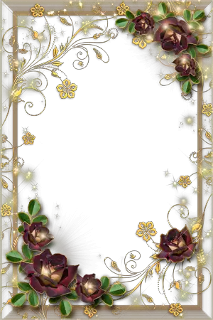 Photo frames. Gold and roses