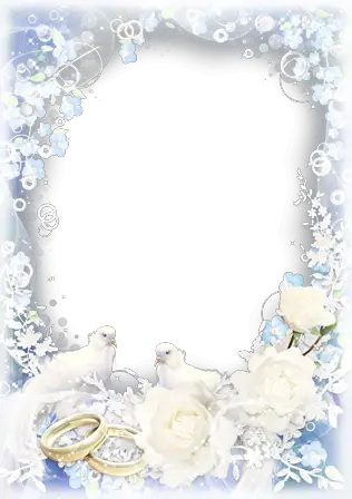 Photo frames. White wedding veils