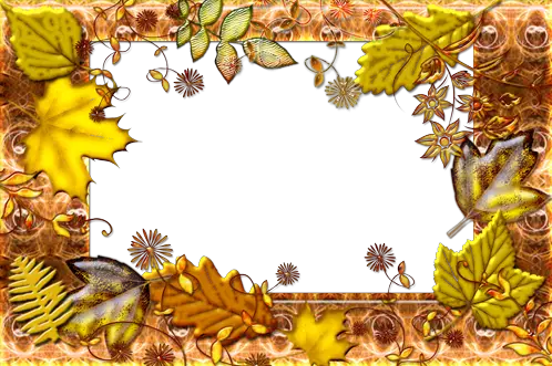 Foto rámeček - Podzimní listí na podzim