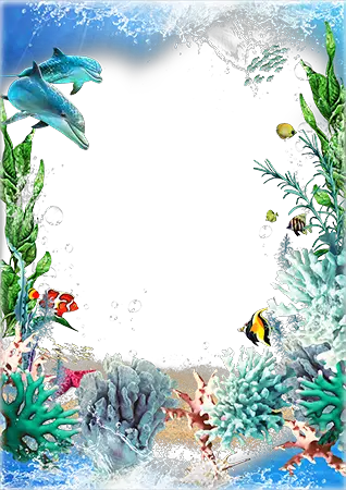 Photo frame - Beauty of coral reef