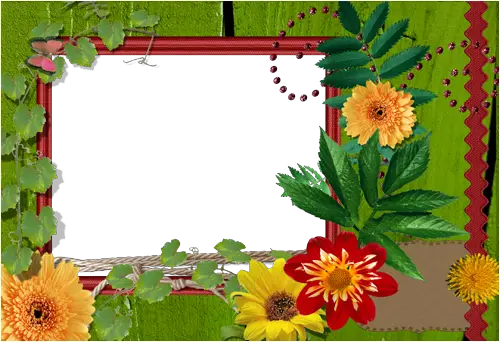 Foto rámeček - pestré květiny