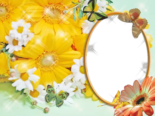 Фоторамка - Метелики в ромашках