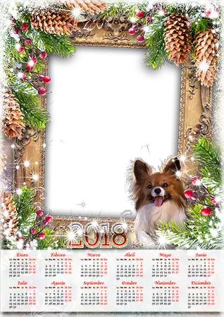 Marco de fotos - Calendar 2018. Lights and a dog