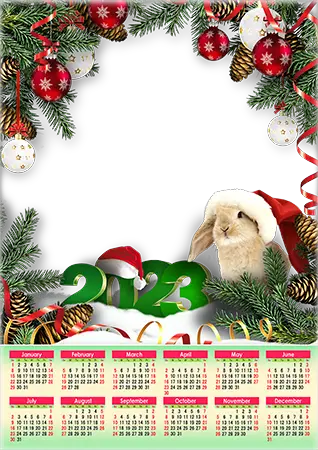 Cadre photo - Calendar 2023. Rabbit and Christmas hat