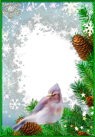 Foto rámeček - Fantastická zimní pták