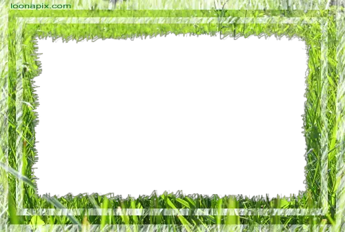 Foto rámeček - Zelená tráva